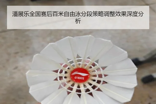 pan-zhan-le-quan-guo-sai-hou-bai-mi-zi-you-yong-fen-duan-ce-lve-tiao-zheng-xiao-guo-shen-du-fen-xi-2-283.jpg